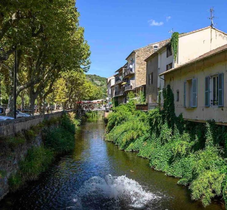 Le Pearl Appartement De Charme En Bord Riviere Collobrières 外观 照片